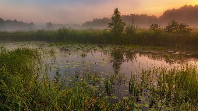 В гостях у сказки. Утренний туман на реке Миасс.