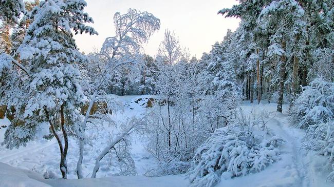 ☀ Доброе утро, Челябинск! Кто чувствует новогоднее настроение - присылайте стикер в комментарии!