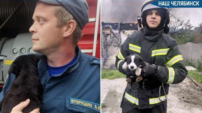 🐕 Пожарные спасли щенков из горящего дома