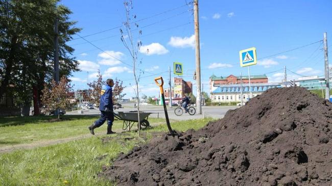 На смену тополям – боярышник: до зимы в Челябинске высадят полторы тысячи деревьев 