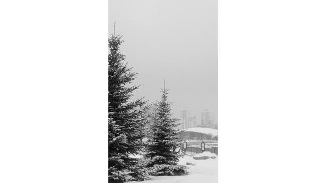 А снег идёт, а снег идёт...