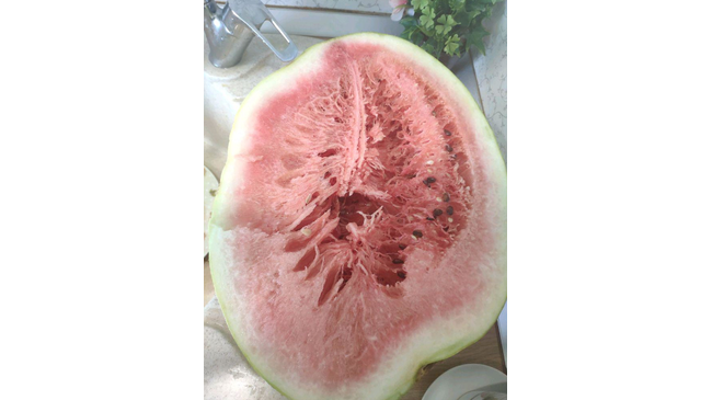  Магазин овощей и фруктов Челябинск, Худякова, 9/2