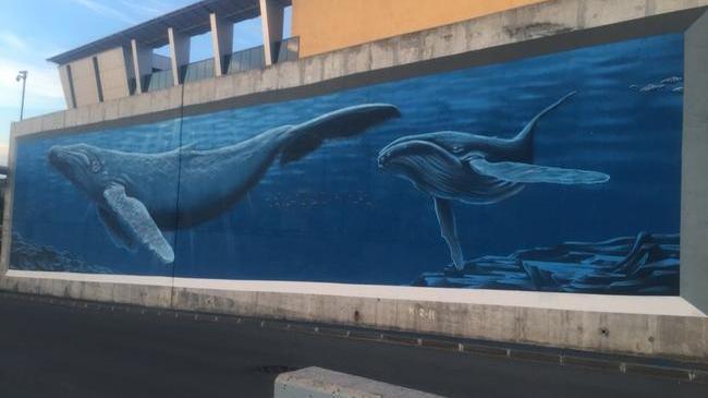 Окно в океан: на заборе у ТРК "Родник" закончили рисовать китов и акулу