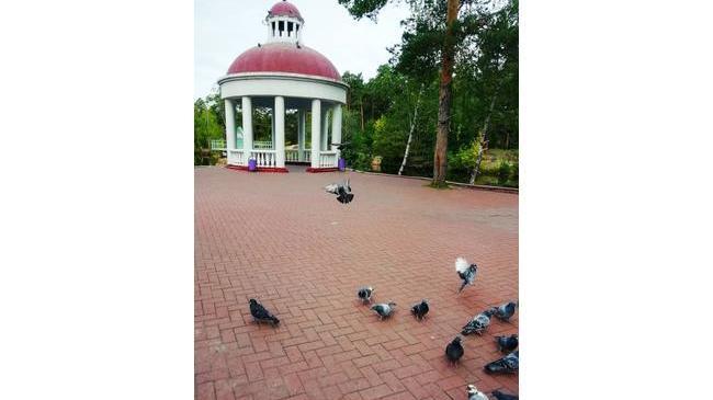ЦПКиО Гагарина