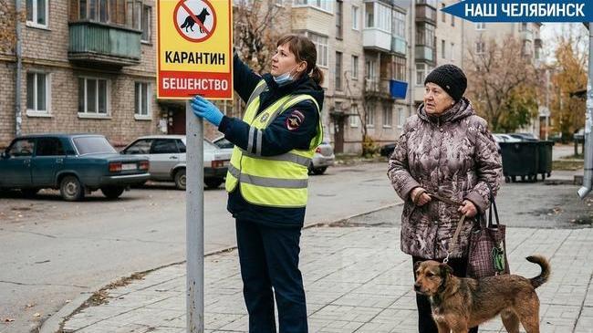 🐕 Карантин по бешенству ввели в центре Челябинска