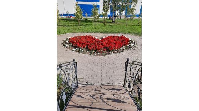 В эту хмурую погоду так хочется тепла и солнышка ☺