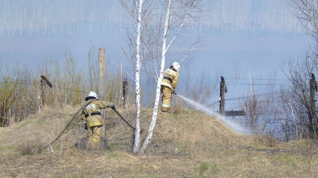 В МЧС России недовольны позицией властей Челябинской области относительно лесных пожаров