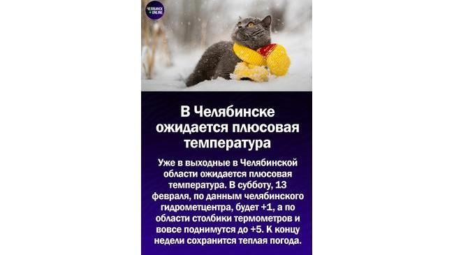 😃В Челябинск после морозов возвращаются плюсовые температуры