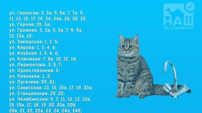 💦 В Новосинеглазово с 8:00 25 ноября до 8:00 26 ноября отключат воду