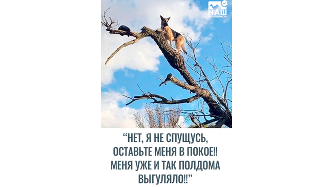 В свете текущих событий: