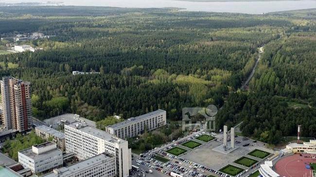 🌲 Суд разрешил строительство рядом с челябинским городским бором