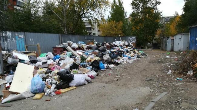 Принести мусор в администрацию города намерены жители Челябинска