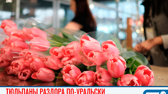 “Тюльпан за 1 рубль”. На Урале 8 марта чуть не подрались из-за цветов.
