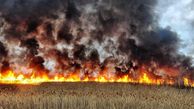 В Челябинской области участились природные пожары