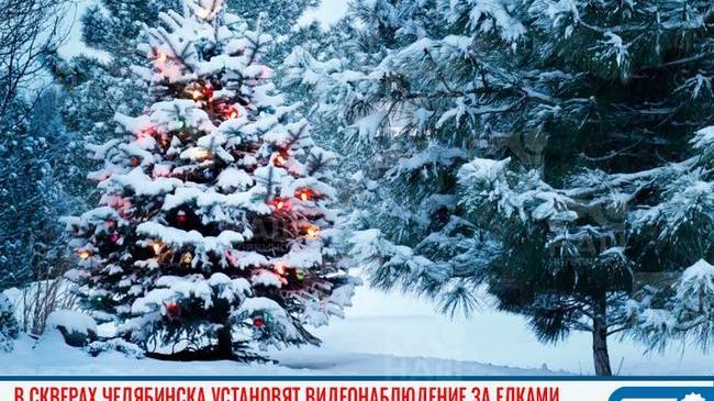 🌲📹 В скверах Челябинска установят видеонаблюдение, чтобы не спилили елки 