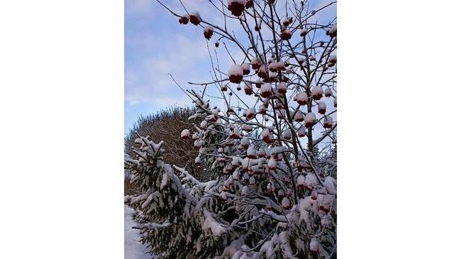 Доброе утро, челябинцы! Кто бы на улице, рассказывайте, как погода?