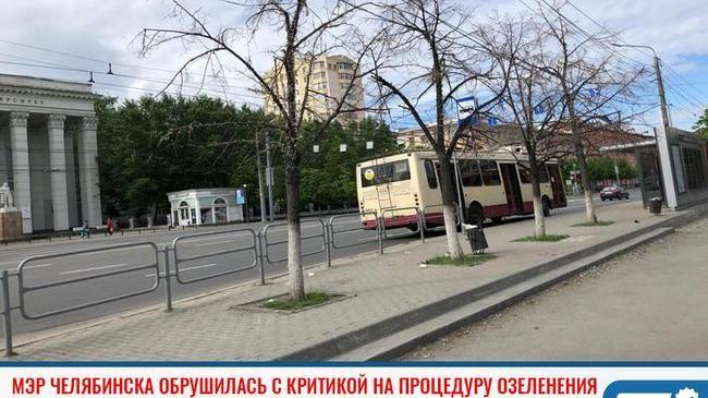 ❗Мэр Челябинска обрушилась с критикой на процедуру озеленения 🌳 