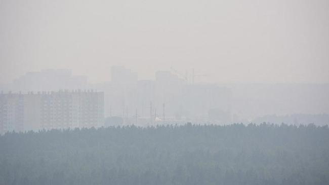 Экоактивисты назвали предполагаемый источник выбросов в Челябинске