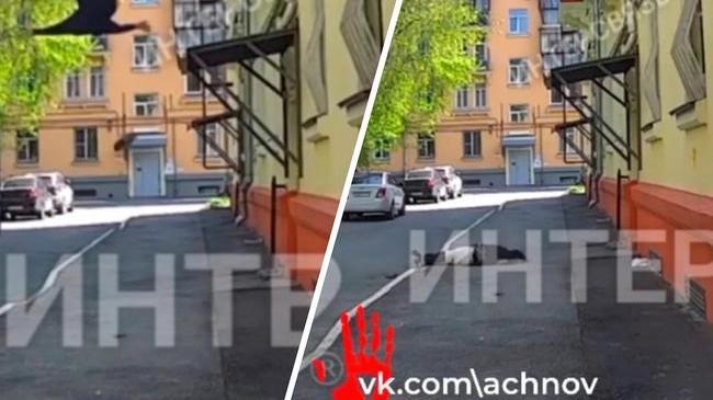 😱 Пожилая женщина выпала из окна в Челябинске