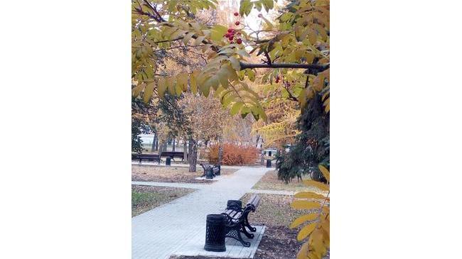 Красота она рядом. Любимый сквер красив в любую погоду 💛 А где обычно вы любите гулять осенью?🍁🍂