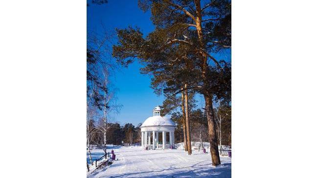 Солнечный весенний день в парке Гагарина ☀