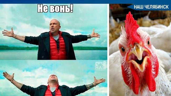 🐔 Птицефабрику “Равис” оштрафовали на 600 тысяч рублей за запах куриного помета. 