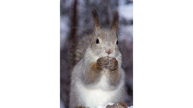 С добрым утром, челябинцы! Надеемся, что все выспались и успели отдохнуть! 😎У кого какие планы на сегодняшний денёк? 🤗