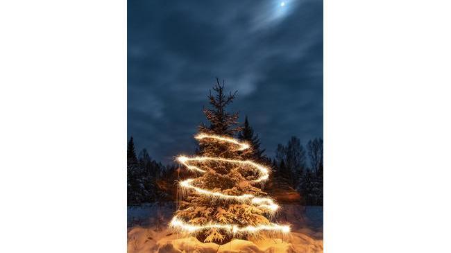 🎄 Волшебная ёлочка ранним утром первого января