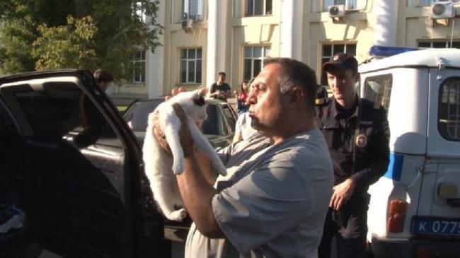 Спасение котов, запертых в авто в Челябинске, стало темой ток-шоу на Первом канале