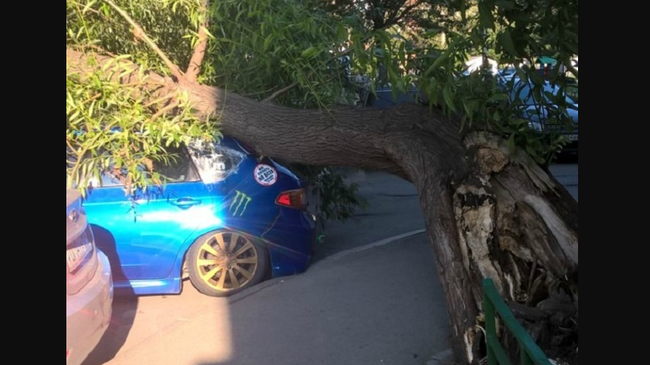 Утро добрым не бывает: в Челябинске на автомобиль рухнуло дерево
