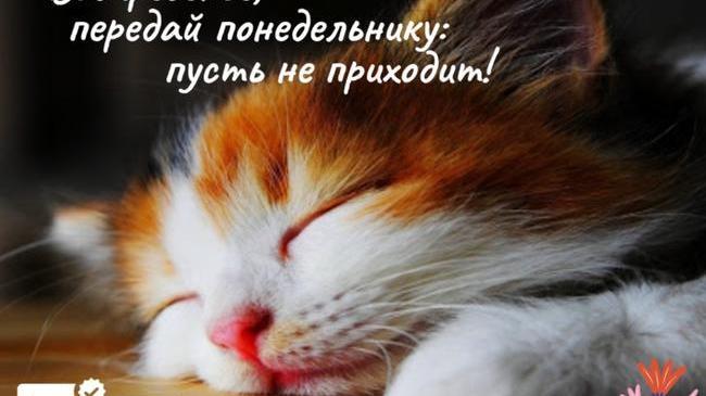Если бы вы могли убрать из недели всего 1 день, от какого бы дня избавились? ☺