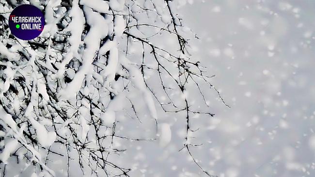 ❄ В Челябинскую область пришел снежный циклон.