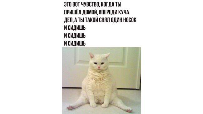 А потом такой бах - падаешь и спишь! Обычный будний день в общем 😄