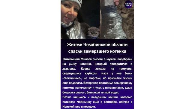 🥶Жители Челябинской области спасли замерзшего котенка