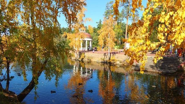 Доброе утро, друзья! ☕ Всех с субботой! Какие планы на выходные? 😊