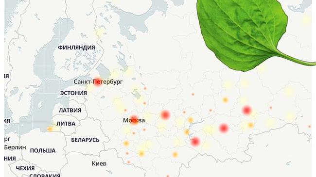 План расшаривания наш челябинск