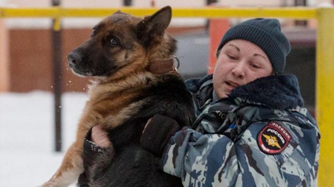 Служебная собака, упавшая при обыске у челябинца с гранатой, отравилась наркотиками
