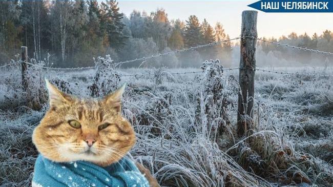 🥶 Заморозки до -3 градусов ожидаются в Челябинской области