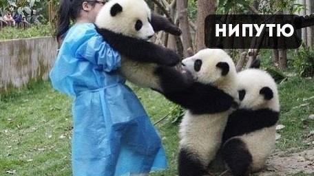 Когда жестокая работа вырывает тебя из ласковых объяйтий подушечки и одеялка: