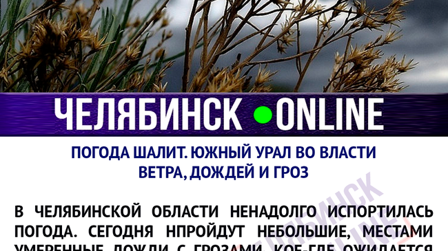 Друзья, а вам нравится дождливая погода? 🌧