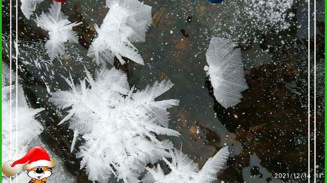 ❗На реке Юрюзань у границ НП «Зигальга» появились ледяные цветы 