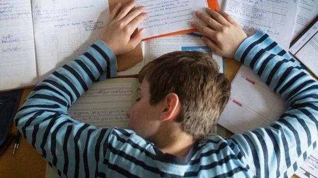 📚 В российских школах с 1 сентября начнут действовать ограничения на объем домашних заданий