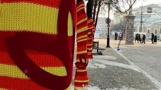 ✨ А на Кировке деревья одели в теплые свитерочки. Для привлечения туристов или акция какая, не представляю. Но смотрятся весело!