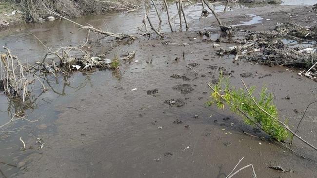 ⚡ В Челябинской области в пруду нашли бочку с трупом.