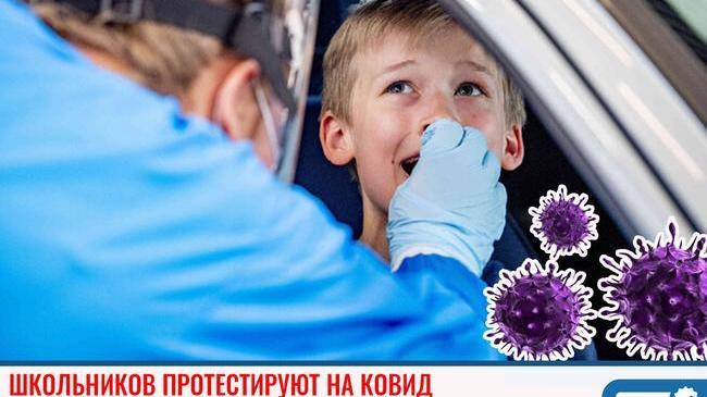 👉🏻 Школьников и малышей в детских садах по согласию родителей все-таки протестируют на ОРВИ и вирус гриппа.
