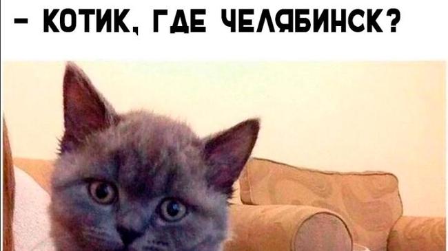 Котик, где Челябинск?