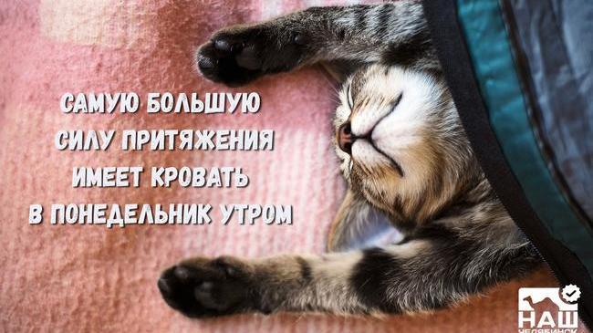 😁 Всех с понедельником, друзья! 