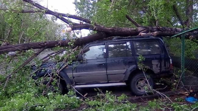 Ураганный ветер валит деревья на автомобили в Челябинске
