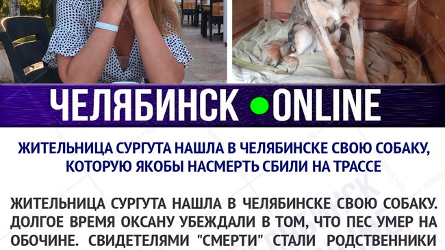 Жительница Сургута нашла в Челябинске свою собаку, которую якобы насмерть сбили на трассе