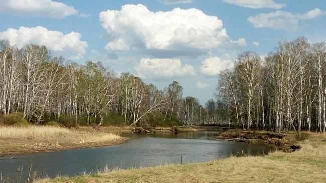 Весна идёт своим чередом ☀☘🌼